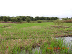 DSCN5496.JPG