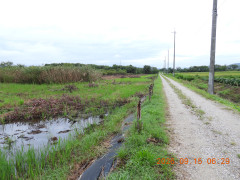 DSCN5497.JPG
