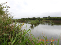 DSCN5501.JPG