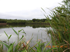 DSCN5502.JPG