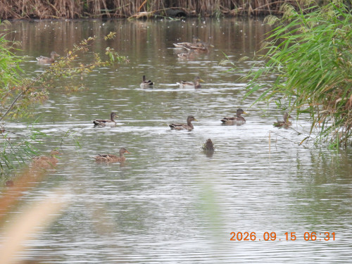 DSCN5500.JPG