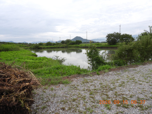 DSCN5503.JPG