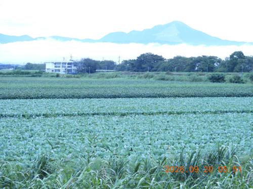 DSCN5513.JPG