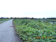DSCN5514.JPG