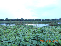DSCN5515.JPG