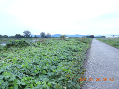 DSCN5516.JPG