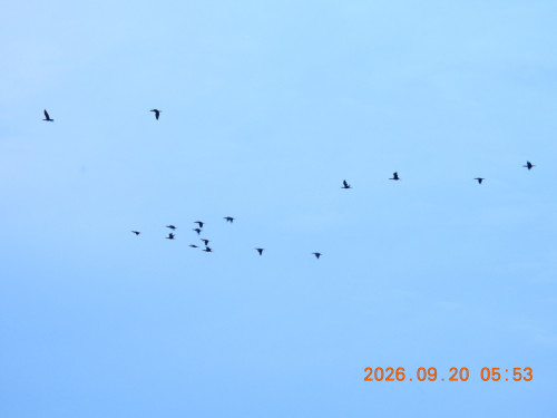 DSCN5517.JPG