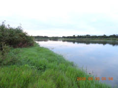 DSCN5518.JPG