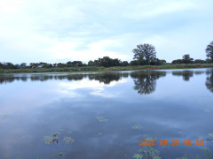 DSCN5519.JPG