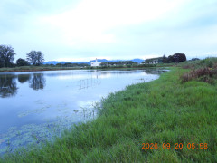 DSCN5520.JPG