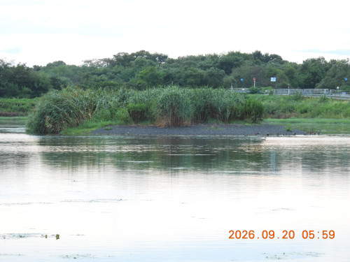 DSCN5522.JPG