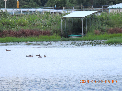 DSCN5524.JPG