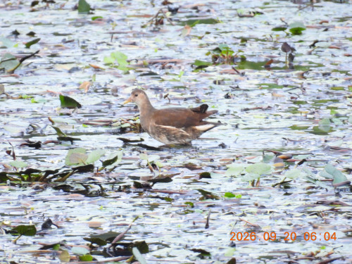 DSCN5528.JPG
