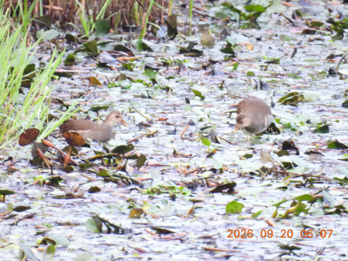 DSCN5531.JPG