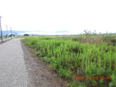 DSCN5534.JPG