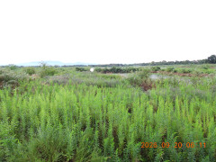 DSCN5535.JPG