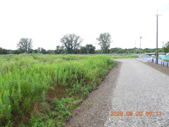 DSCN5536.JPG