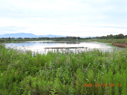 DSCN5537.JPG