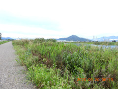 DSCN5538.JPG
