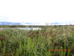 DSCN5539.JPG