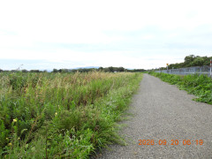 DSCN5540.JPG