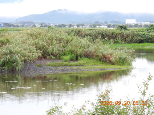 DSCN5541.JPG