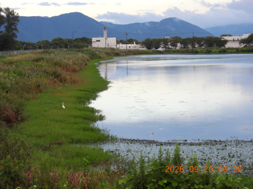 DSCN5542.JPG