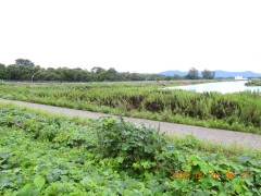 DSCN5543.JPG