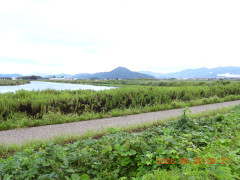 DSCN5544.JPG