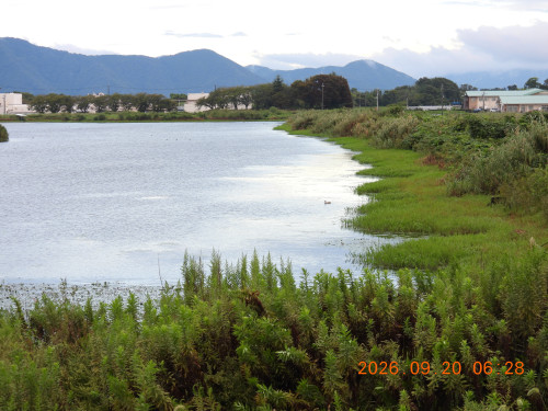 DSCN5545.JPG