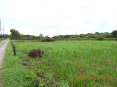 DSCN5550.JPG