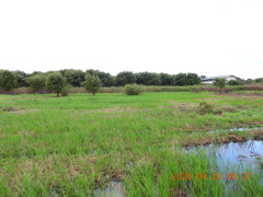 DSCN5551.JPG