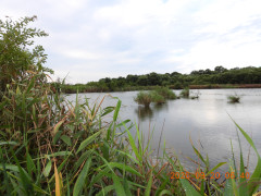 DSCN5558.JPG
