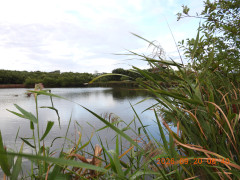 DSCN5559.JPG