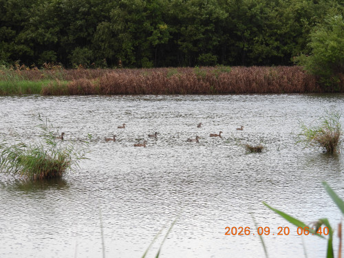 DSCN5555.JPG