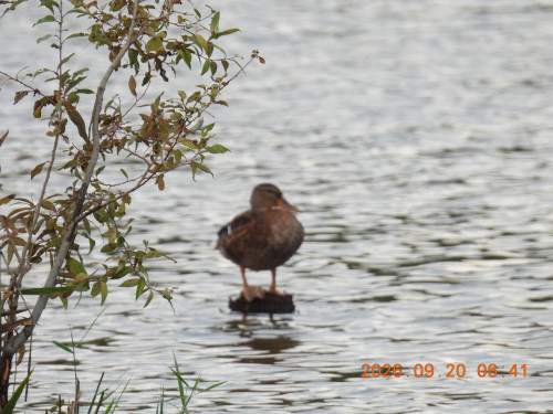 DSCN5560.JPG