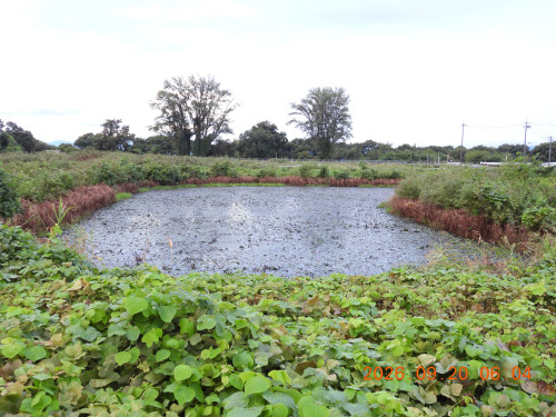 DSCN5527.JPG