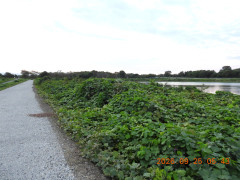 DSCN5566.JPG
