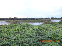 DSCN5567.JPG