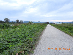DSCN5568.JPG