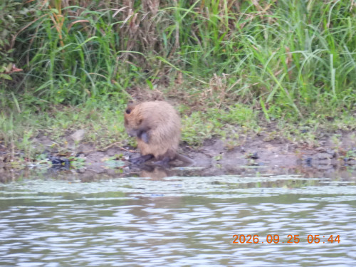 DSCN5570.JPG