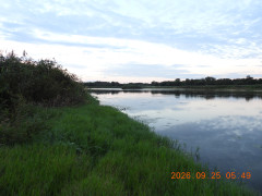 DSCN5571.JPG