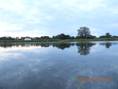 DSCN5572.JPG