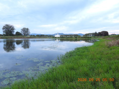 DSCN5573.JPG