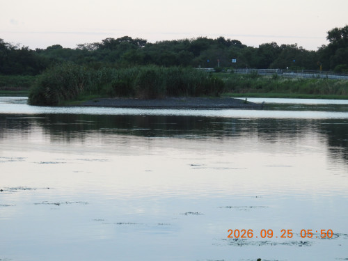 DSCN5574.JPG