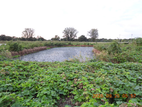 DSCN5579.JPG