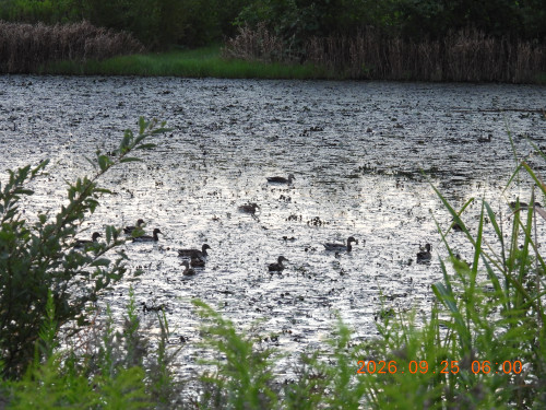 DSCN5584.JPG