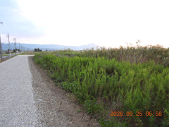 DSCN5580.JPG