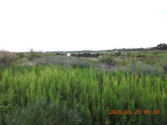 DSCN5581.JPG