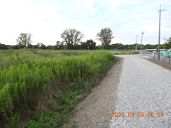 DSCN5582.JPG